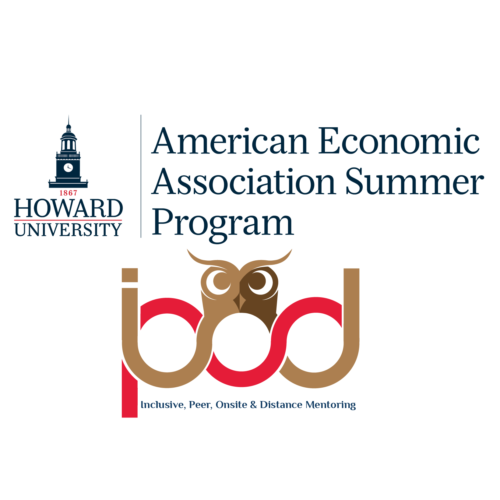 American Economic Association Summer Training Program/IPOD