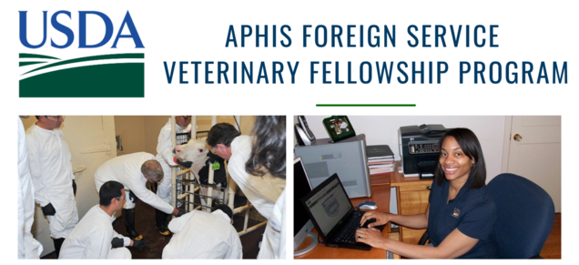 Vet Fellow Program