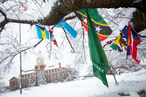 flags draped on tree in snow with Founders Library in background