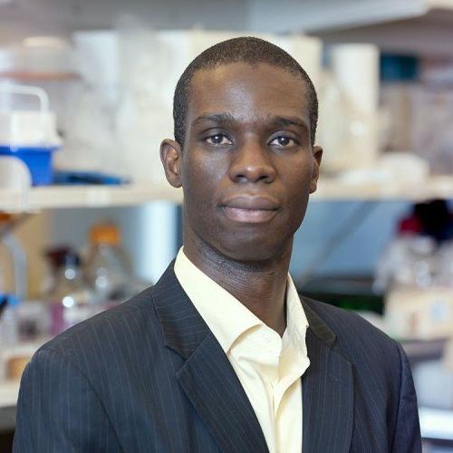 Dr. Kofi Deh