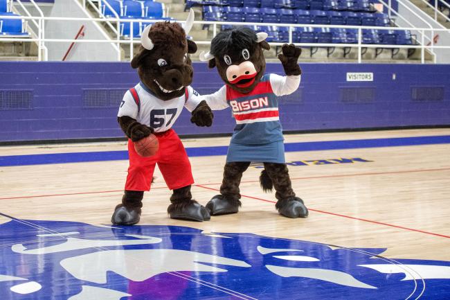 Bison mascots on gym floor