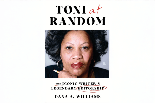 Toni at Random book cover