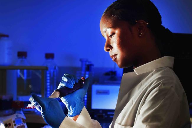 Biomedical sciences student in a laboratory