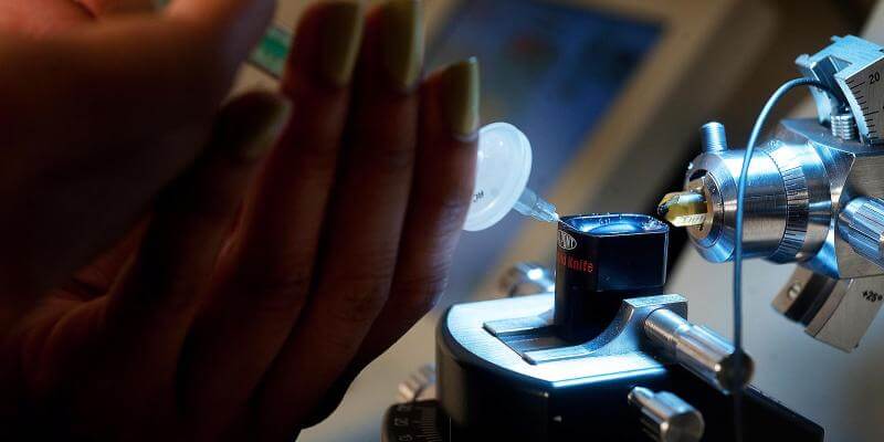 Howard University, Johns Hopkins University Partner to Develop Tech for Neuro Disorders - Vimarsana News