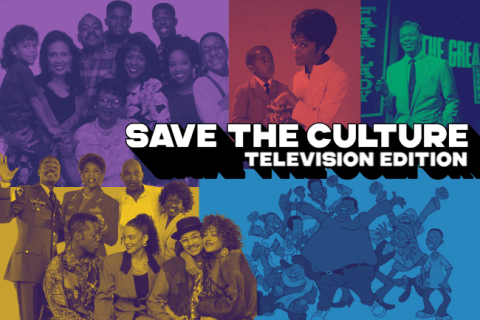 Save the culture graphic - TV Part 2