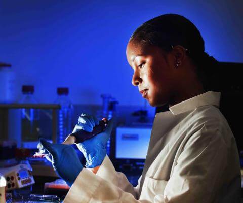 Biomedical sciences student in a laboratory