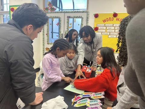Students Working on the Digestive System Model