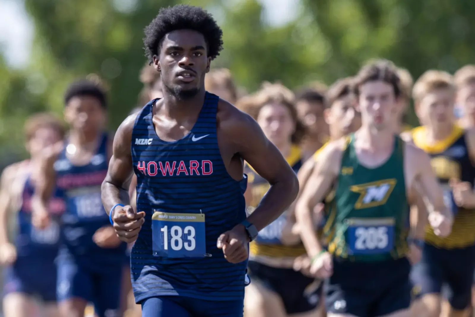 Men's cross-country